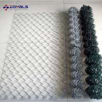 Plain Ultra Fine Hexagonal Stainless Steel Wire Netting Chicken Wire Mesh